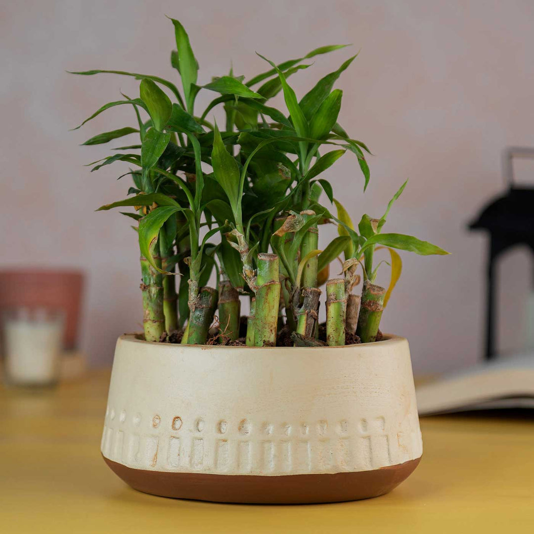 Earthy Carved Terracotta Planter