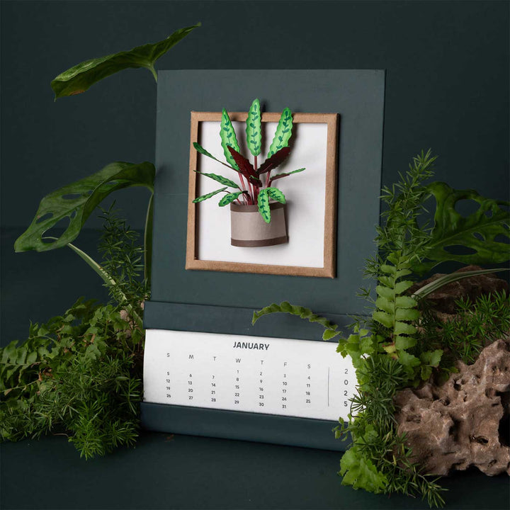 Handmade 3D Rattle Snake Plant 2025 Desk Calendar