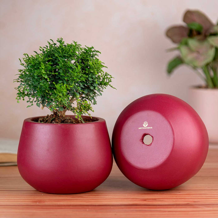 Minimal Maroon Terracotta Planter