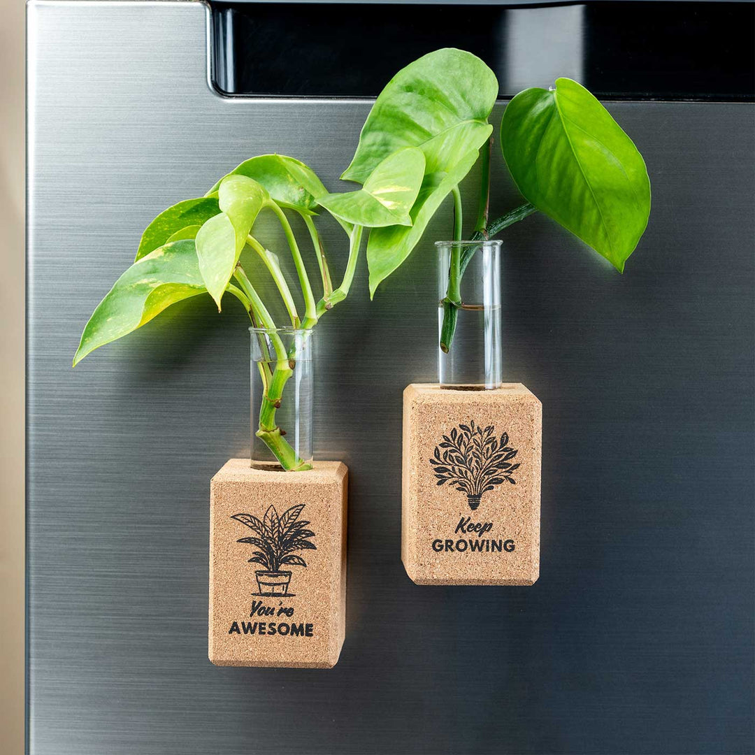 Handmade Positive Affirmations Fridge Magnet Cork Planter | Set Of 2