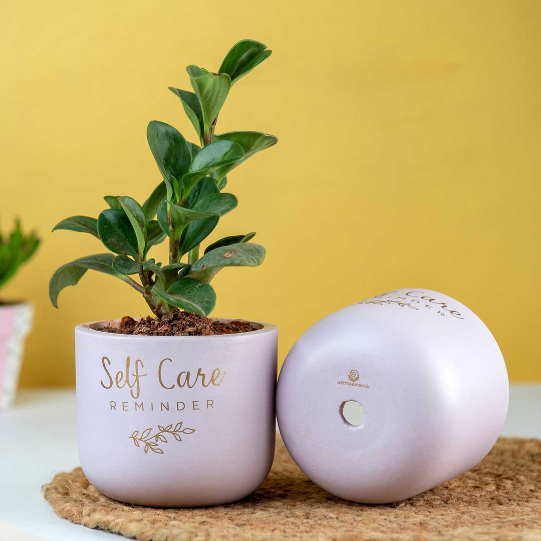 Self Care Reminder Terracotta Planter