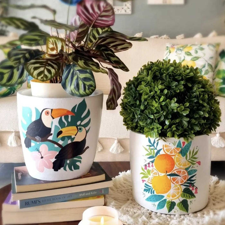 Hand-Painted White Toucan Terracotta Planter Pot