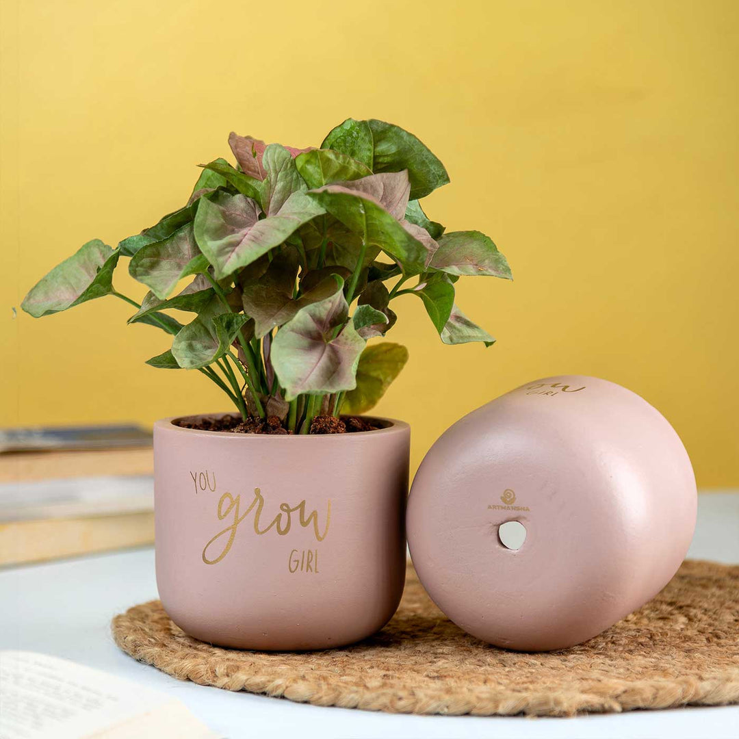 You Grow Girl Terracotta Planter