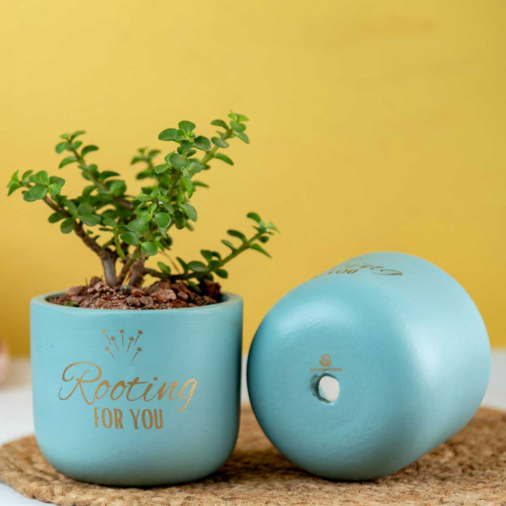 Rooting For You Terracotta Planter