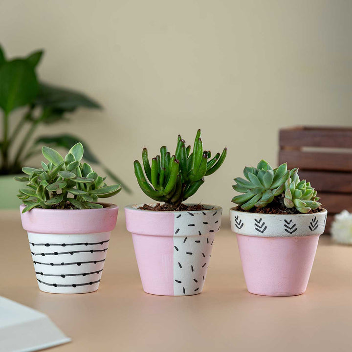 Handpainted Pink Tiny Terracotta Planter Pot | Set Of 3