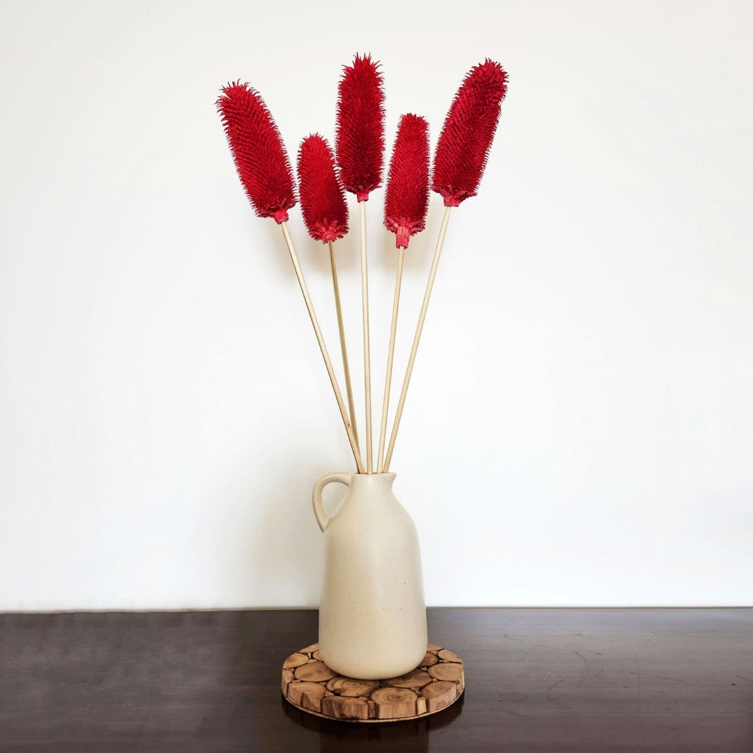 Handmade Exotic Banksia Stems Dried Flower Bouquet | Set Of 5