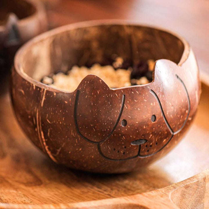 Eco-Friendly Handmade Dog Theme Coconut Shell Bowl For Kids