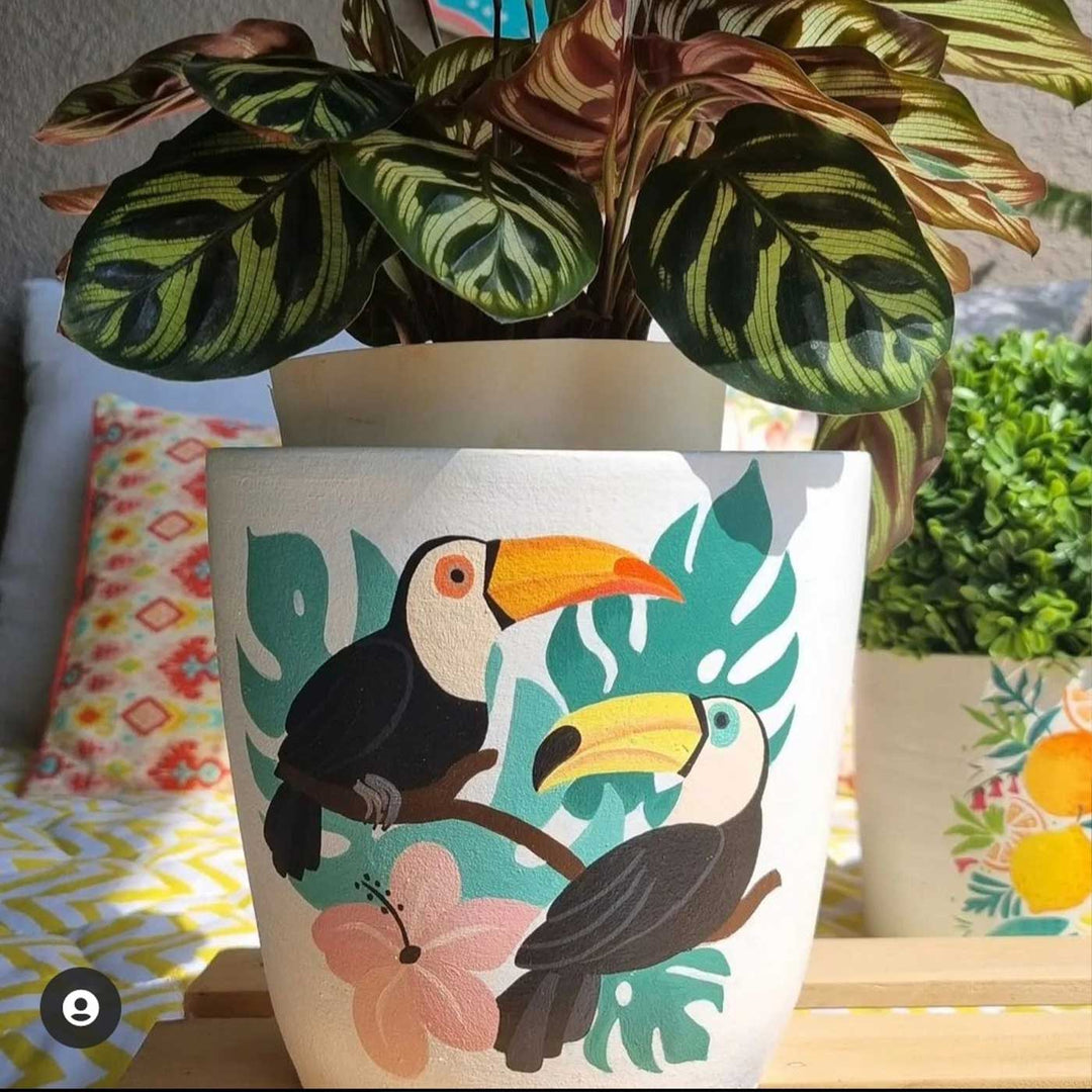 Hand-Painted White Toucan Terracotta Planter Pot