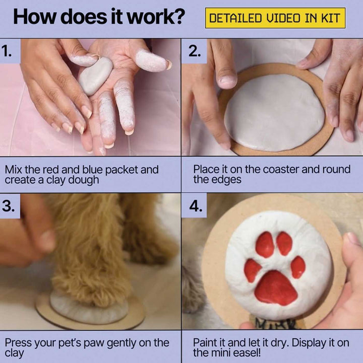 Paw Printing DIY Kit