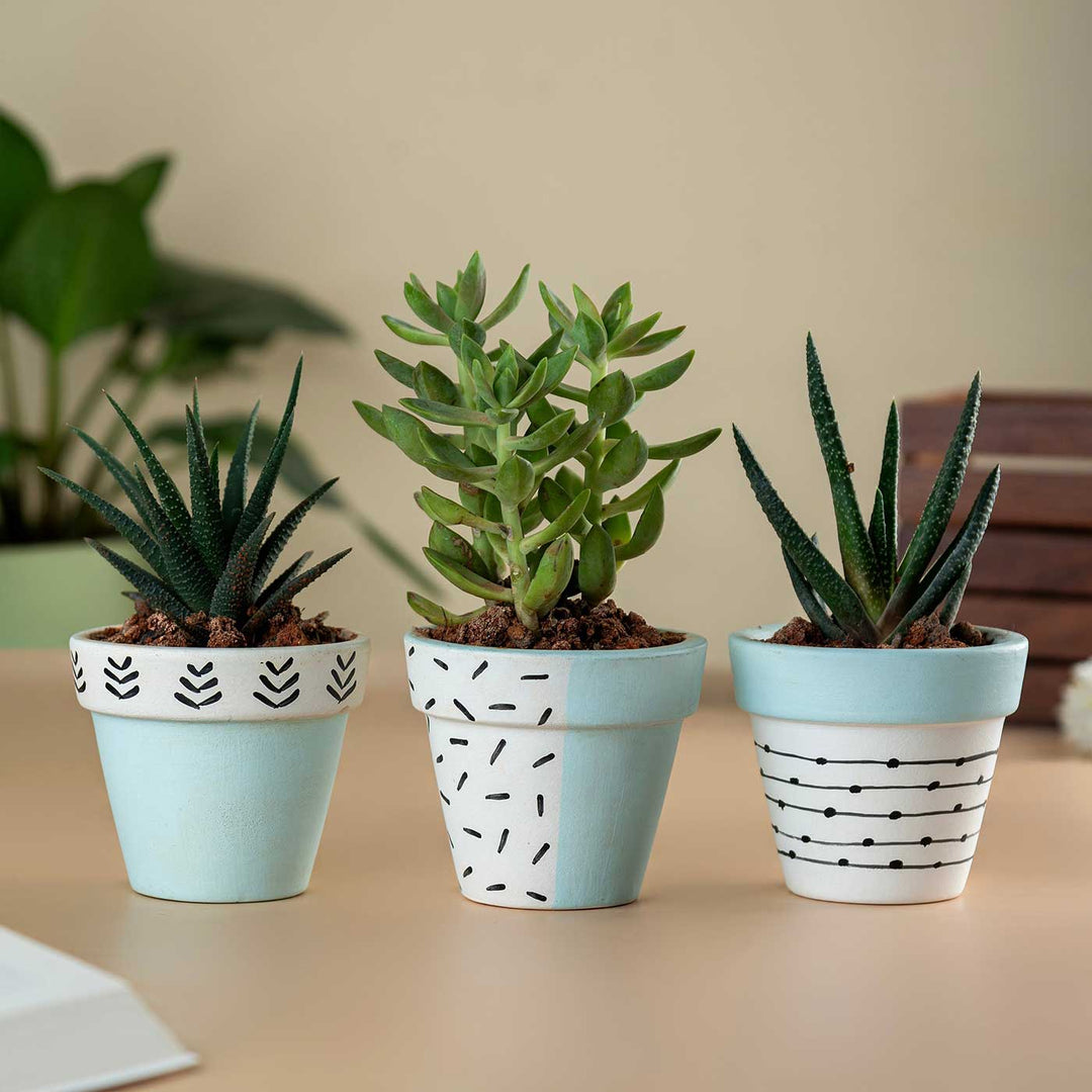 Handpainted Blue Tiny Terracotta Planter Pot | Set Of 3