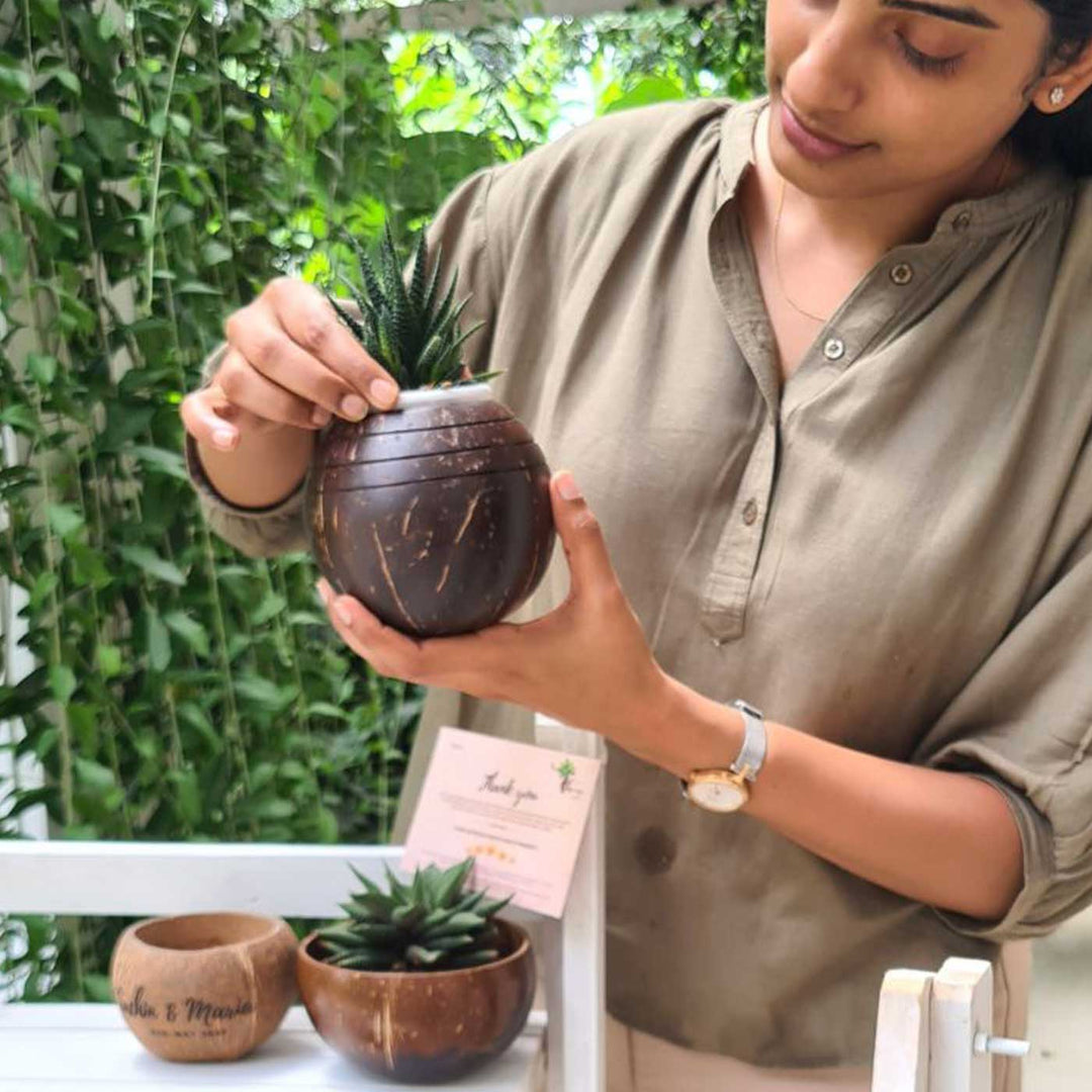 Eco-Friendly Handmade Three Line Coconut Shell Planter Pot