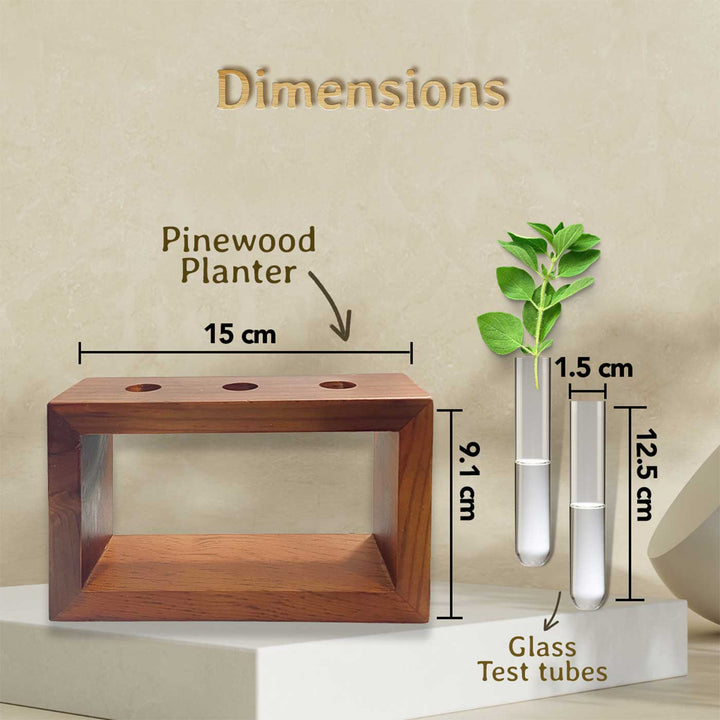 Handmade Pinewood Desktop Planters