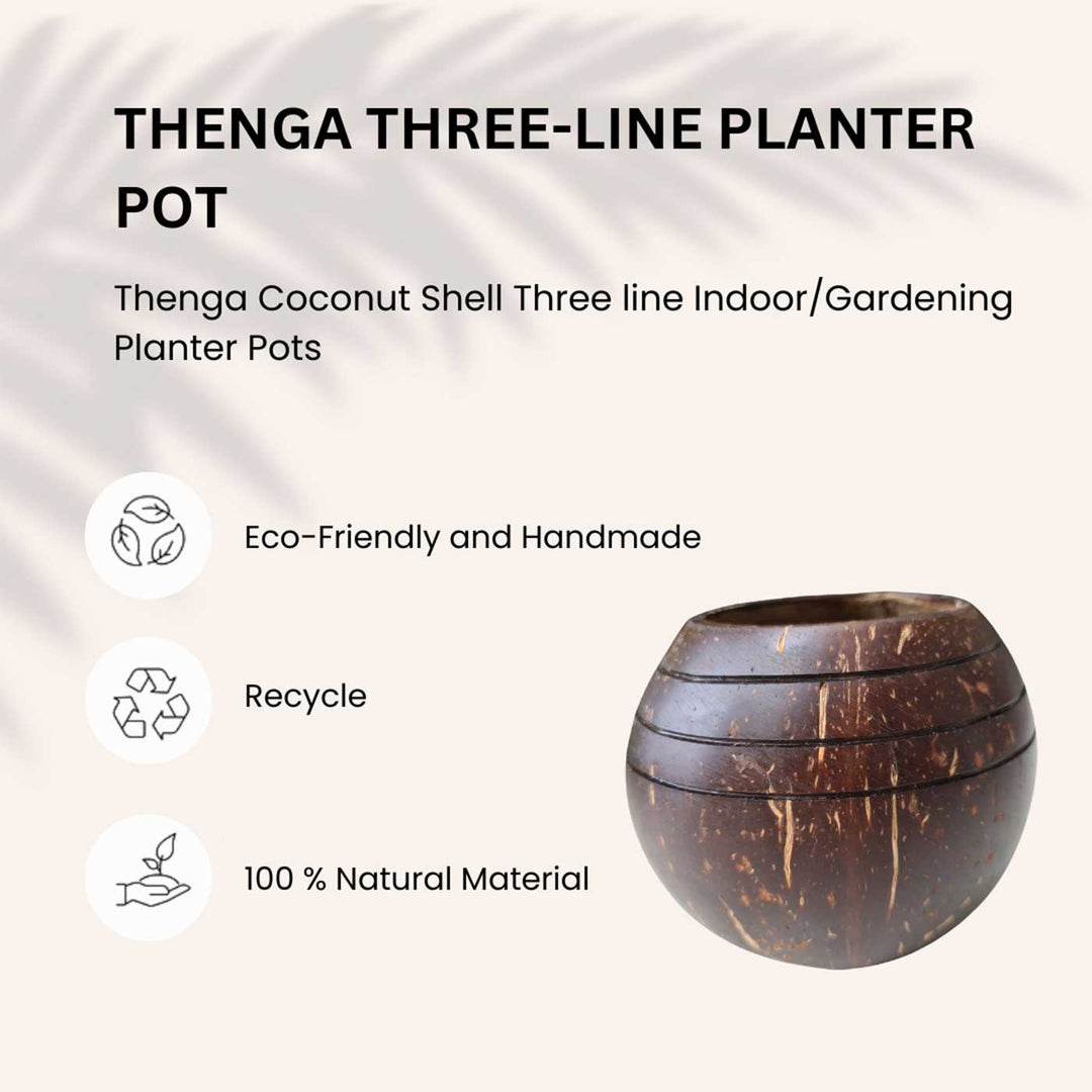 Eco-Friendly Handmade Three Line Coconut Shell Planter Pot