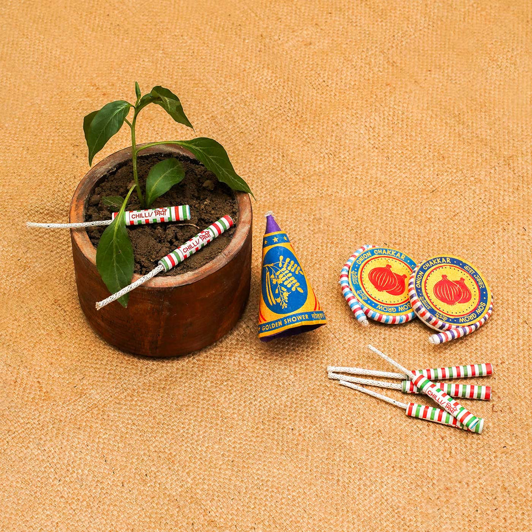 Handmade Grow Me Diwali Gift Hamper | Set of 10