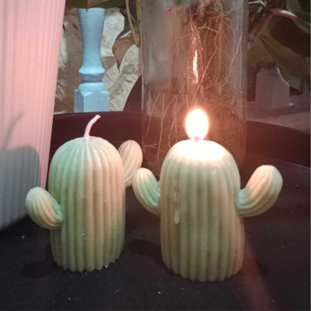 Cactus Candle Making DIY Kit