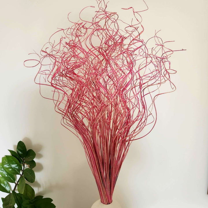 Handmade Curly Dried Stems Bouquet | Set Of 100