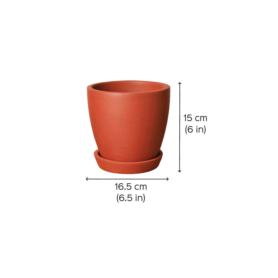 Handmade Medium 6 Inch Hexane Planter Terracotta Planter Pot