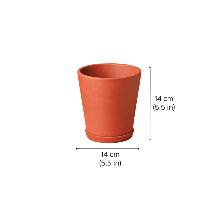 Handmade Medium 5.5 Inch Cone Planter Inch Terracotta Planter Pot