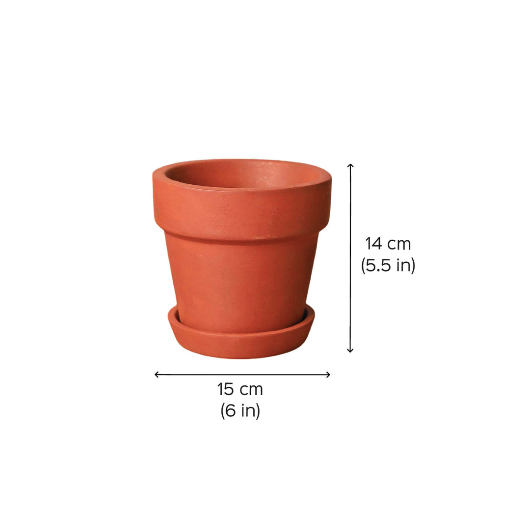 Handmade Medium 5.5 Inch Gamala Planter Terracotta Planter Pot