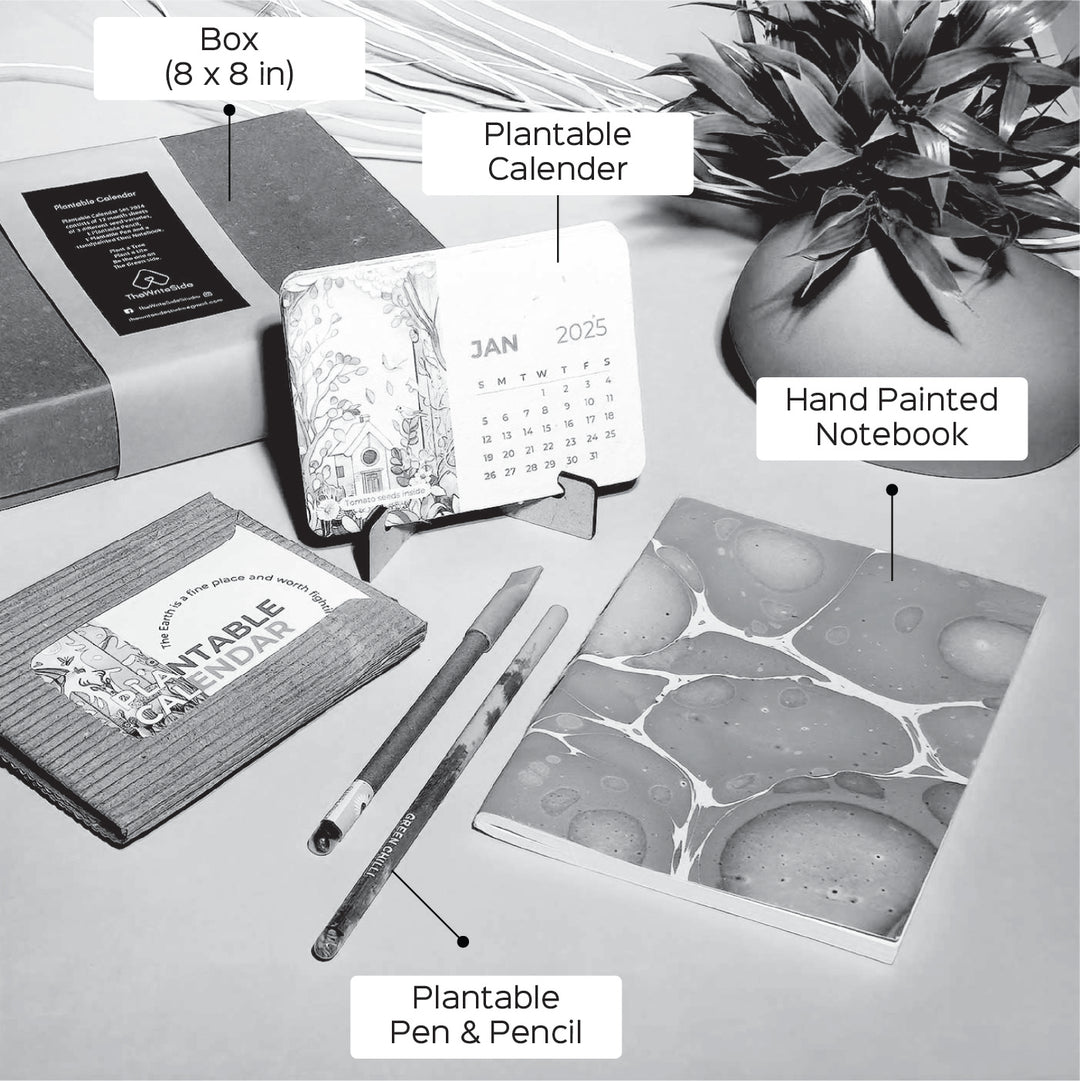 Plantable Stationery Gift Box With Calendar - 2025