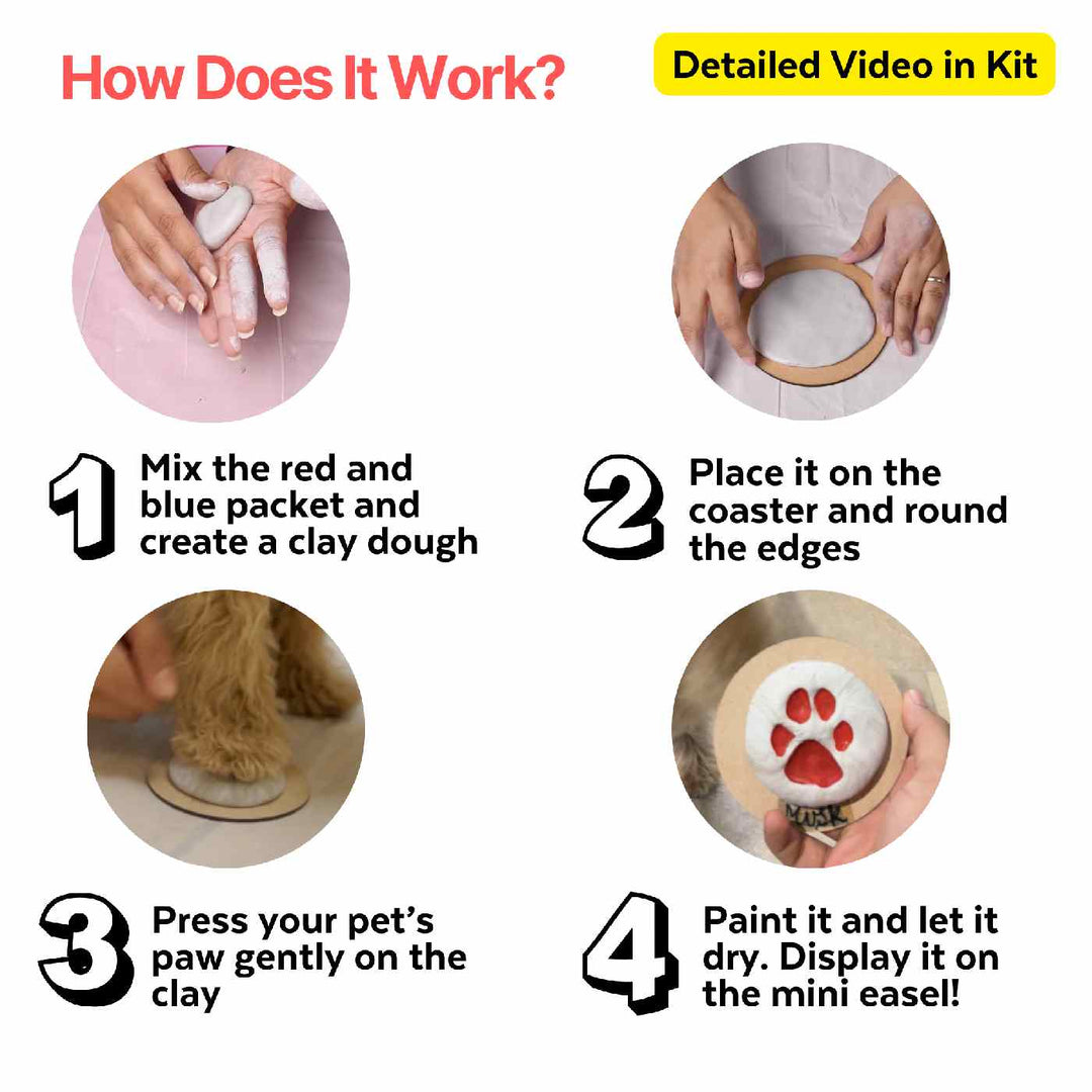 Paw Printing DIY Kit