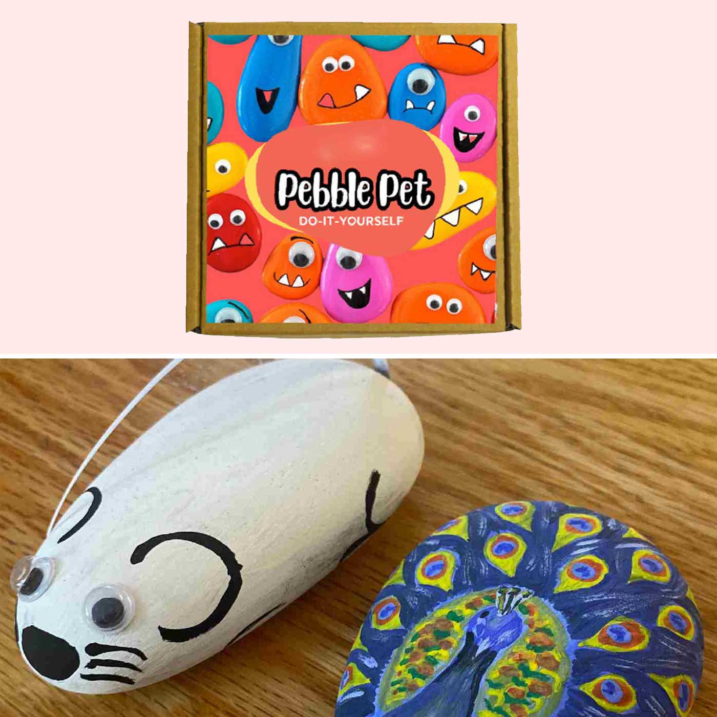 Buy Pebble Pet DIY Kit Online On Zwende