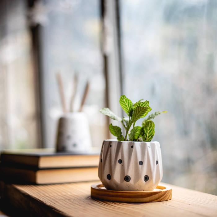 Icosa Planter with Black and Grey Dots - White