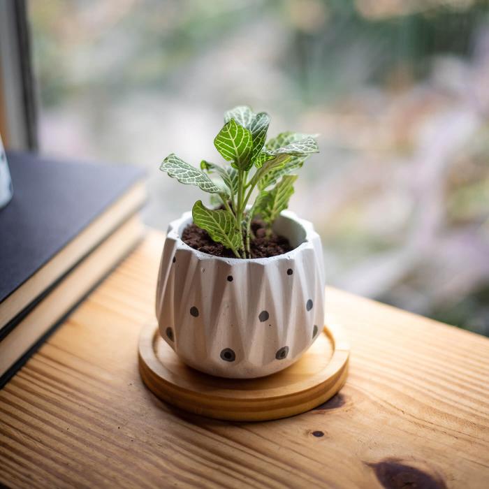 Icosa Planter with Black and Grey Dots - White