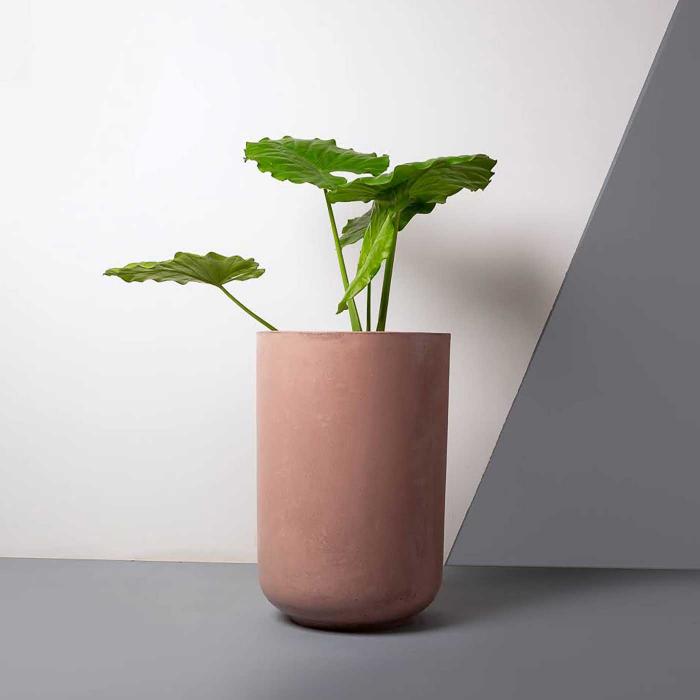 Concrete Tulip Planter - Rose Gold