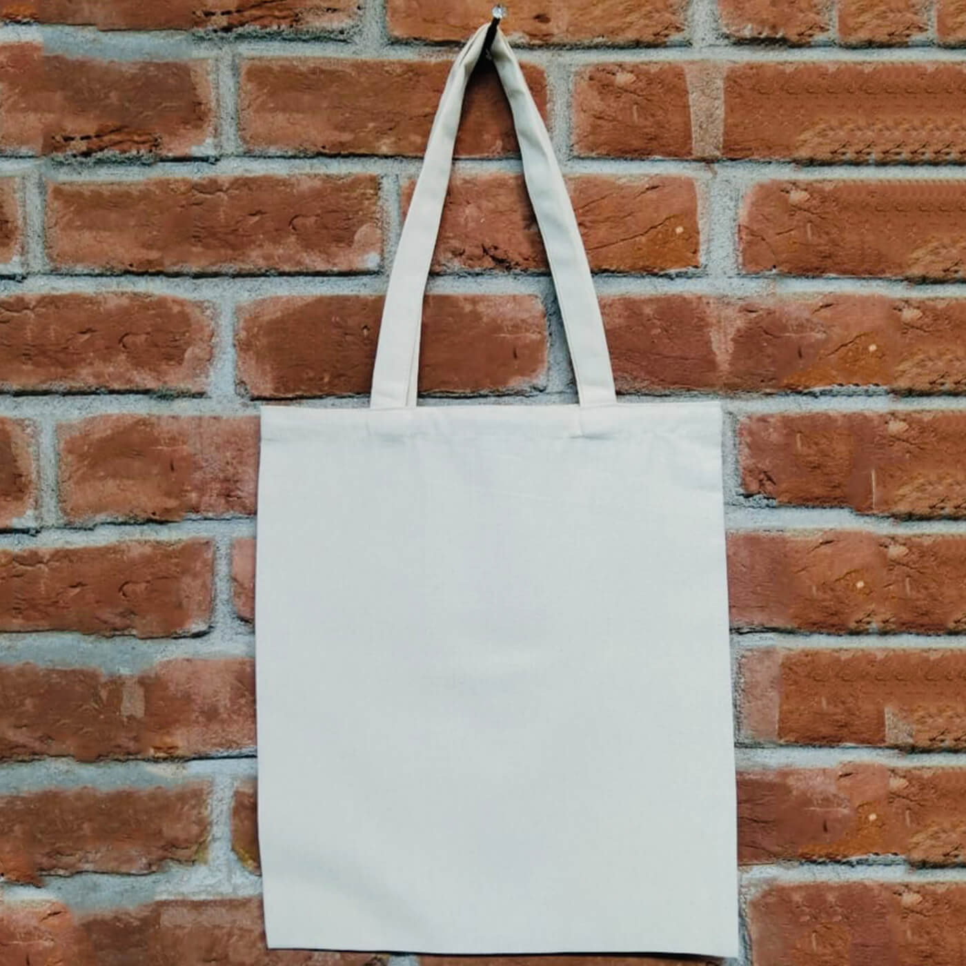 Loop Handle Plain Canvas Tote Bag, 2 Kg at Rs 55/piece in New Delhi | ID:  24322757255