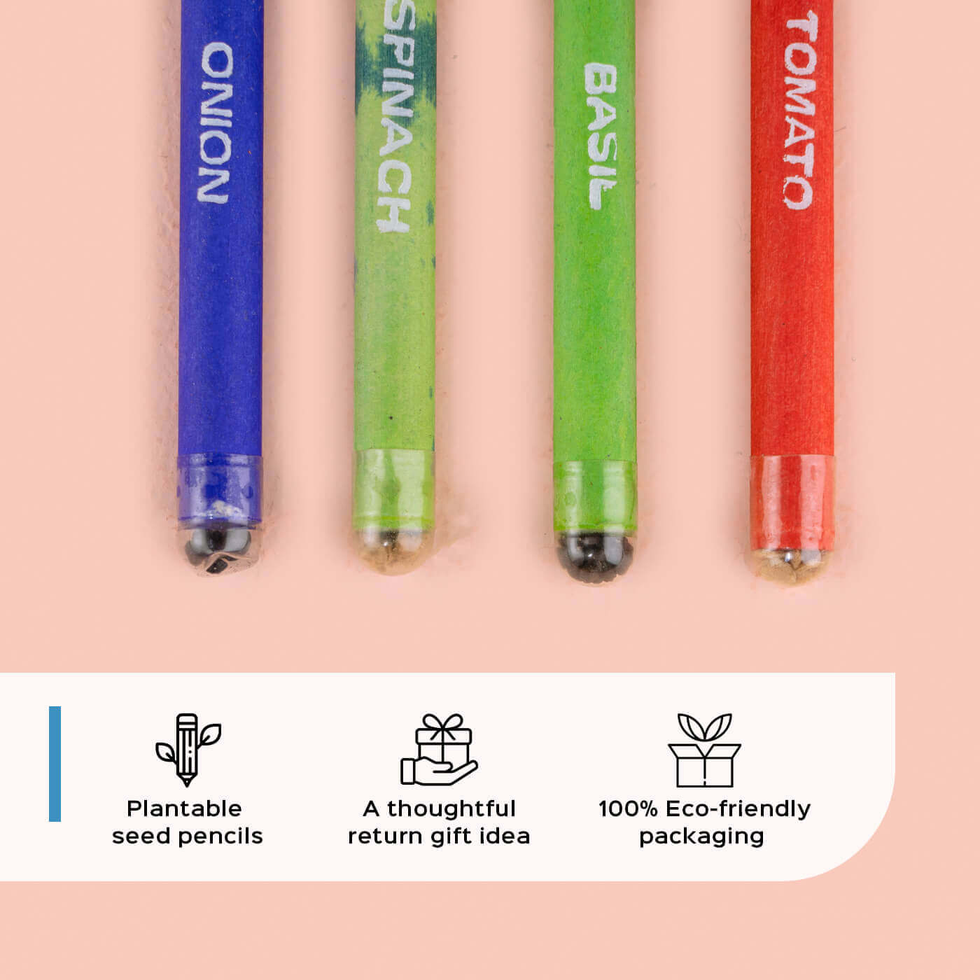 Buy Plantable Seed Pencil Set 4 Online On Zwende